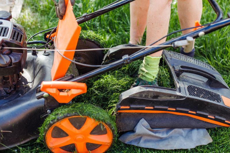 Residential Lawn Aeration Service