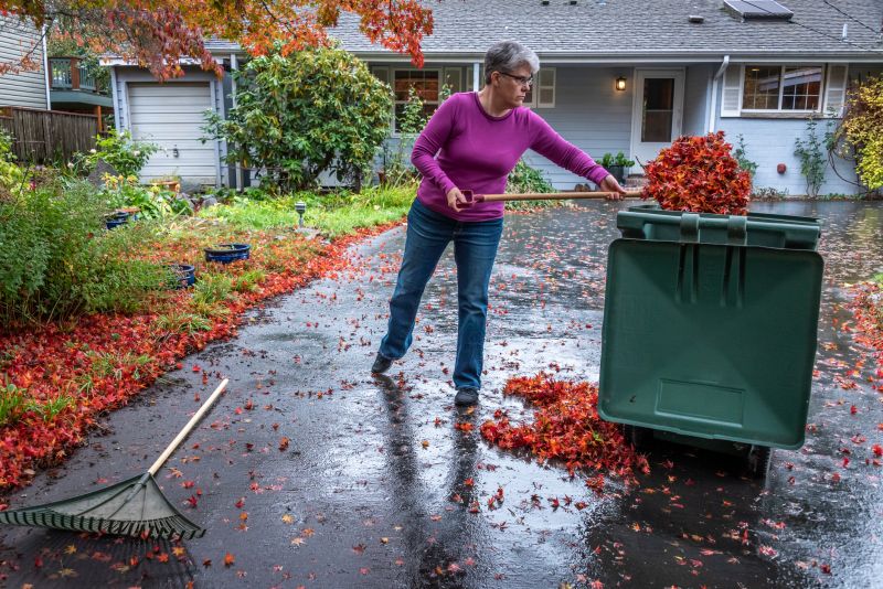 Leaf Removal Image 1