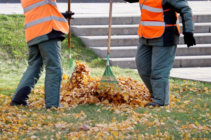 Professional Leaf Removal 2