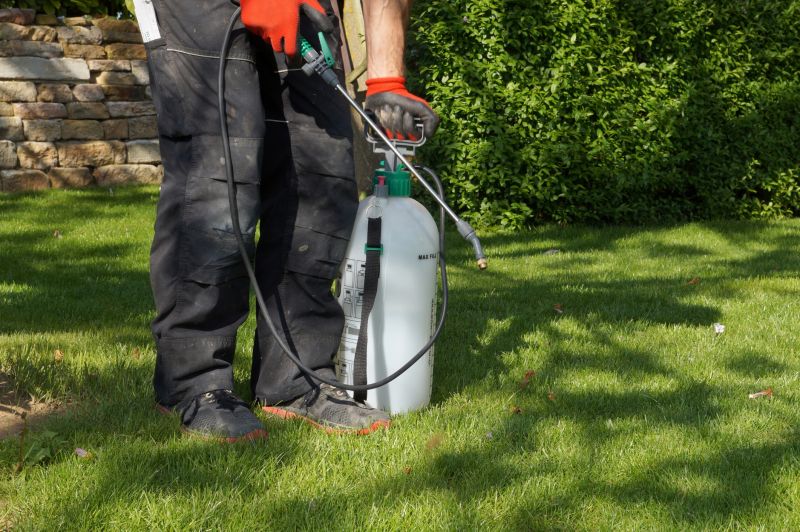 Lawn Weed Treatment in Rockwall, TX