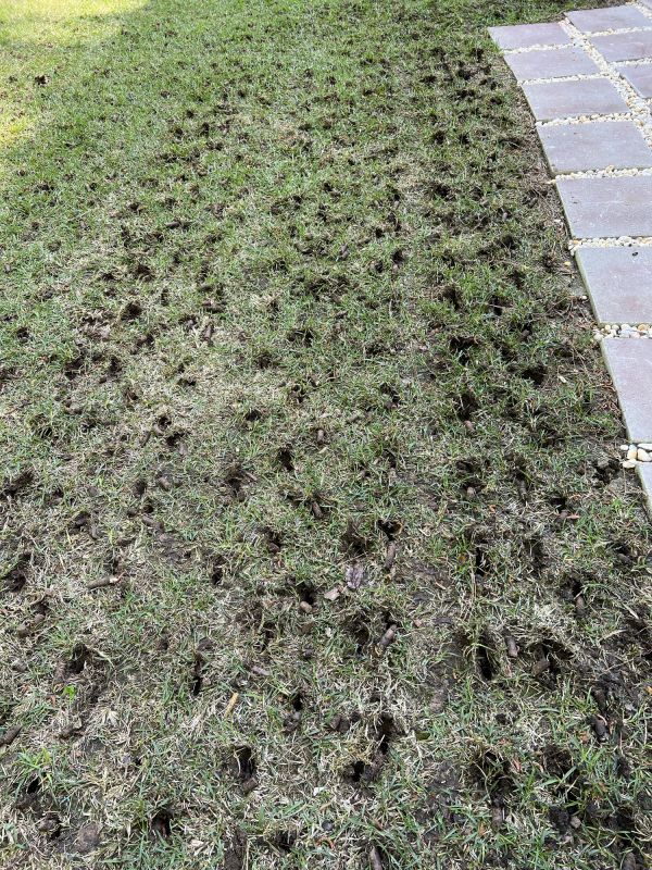 Residential Aeration